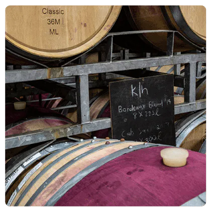 Wine Barrels In Stellenbosch Winery Showcasing Bordeaux Blend Aging Process.