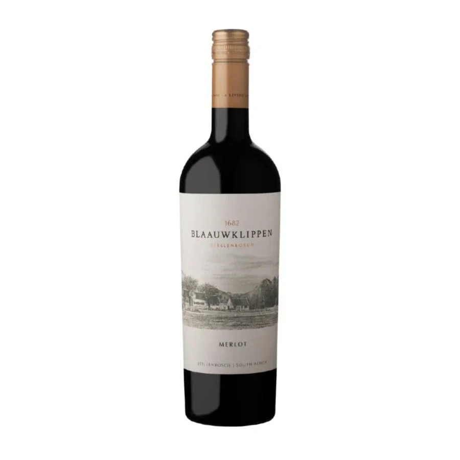 Blaauwklippen Merlot from Stellenbosch, showcasing South African wine heritage.