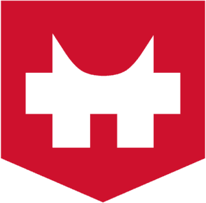 Rock of Eye logo