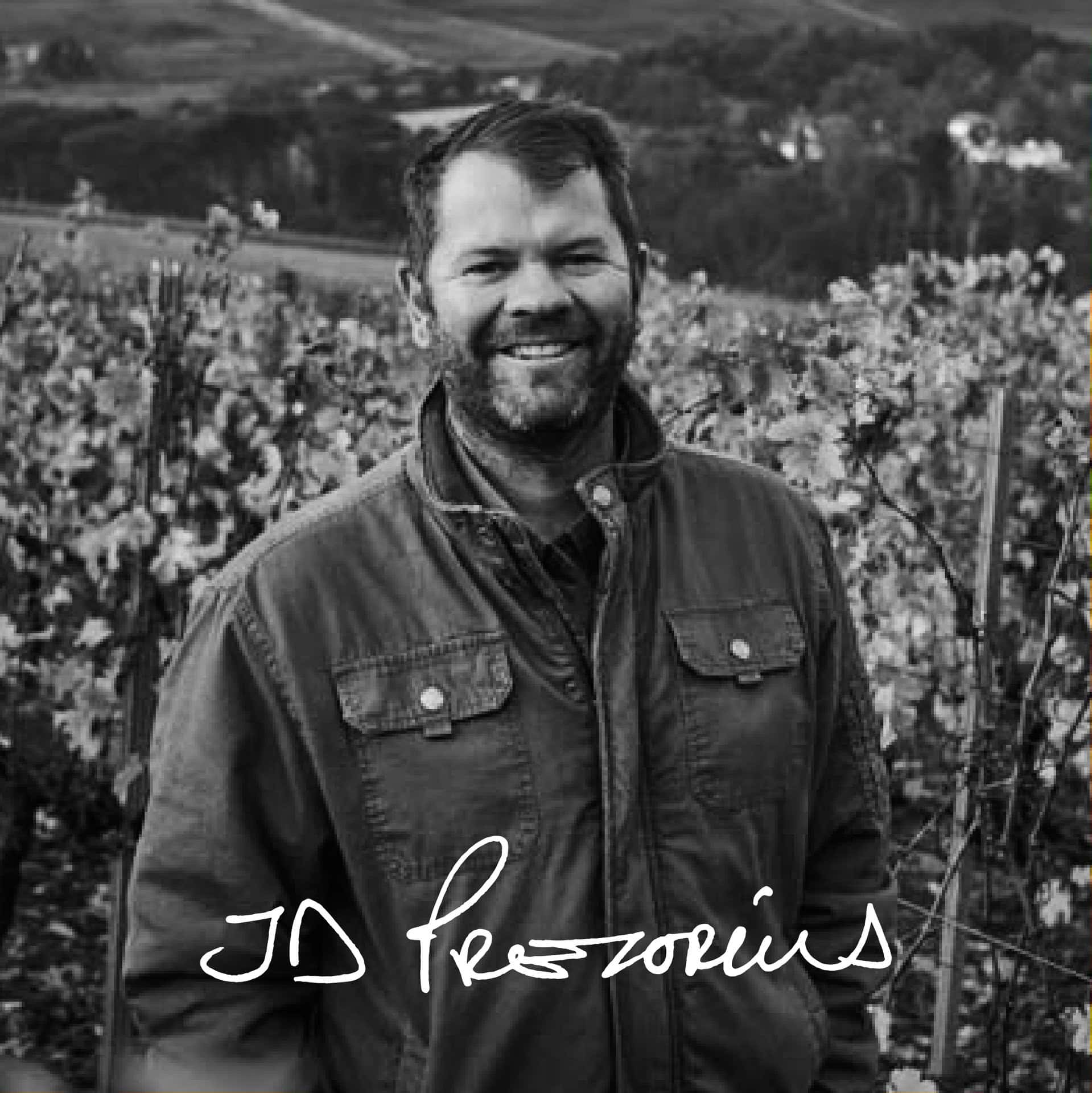 Jd Prezorius Smiling In A Stellenbosch Vineyard, Showcasing South African Wine Heritage.