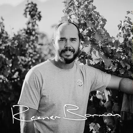 Vintner Raener Borman Among Stellenbosch Vineyards, Showcasing South African Wine Culture.