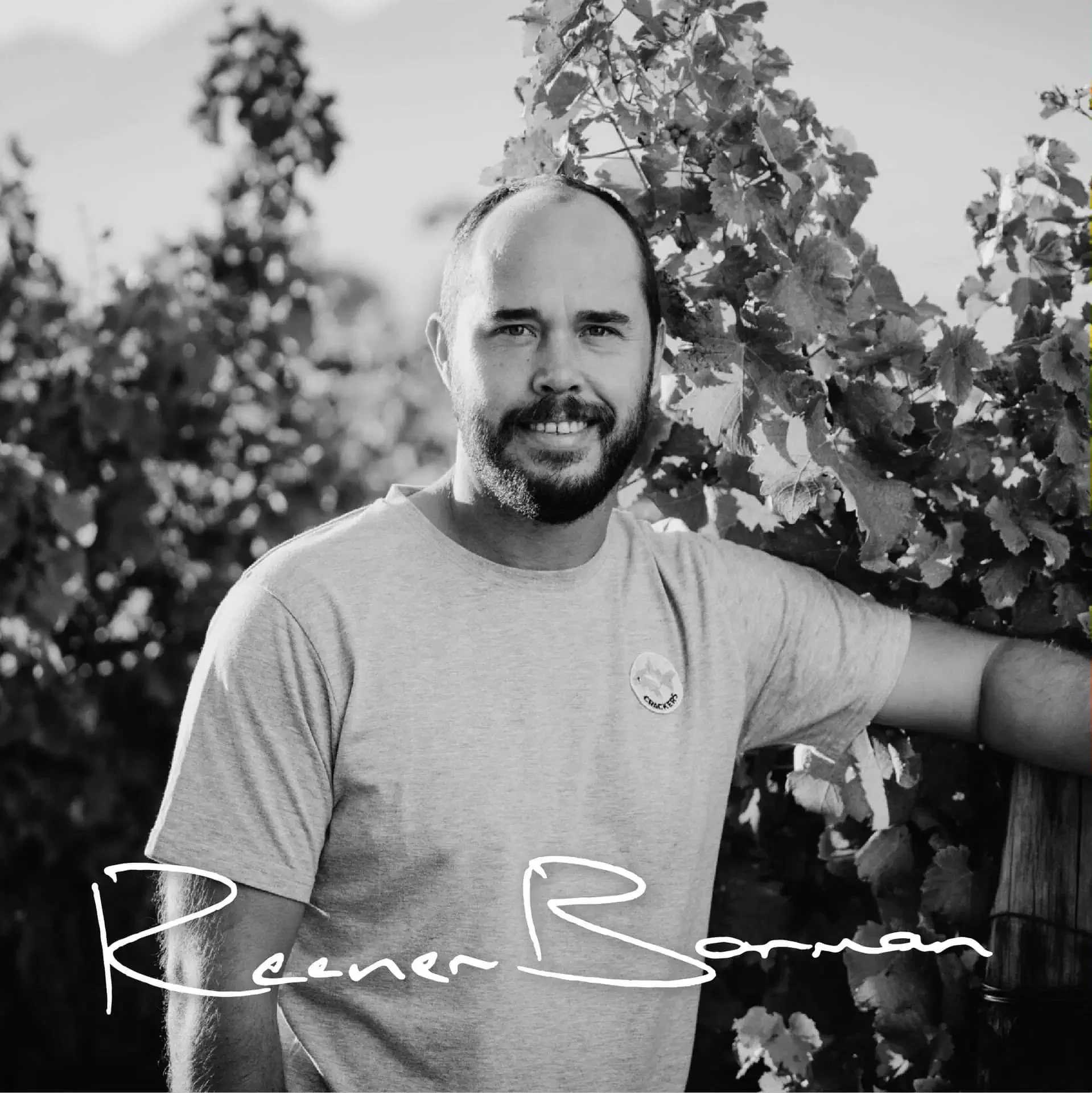 Vintner Raener Borman Among Stellenbosch Vineyards, Showcasing South African Wine Culture.