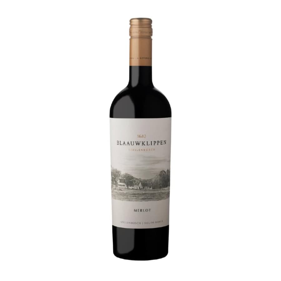 Blaauwklippen Merlot From Stellenbosch, Showcasing South African Wine Heritage.