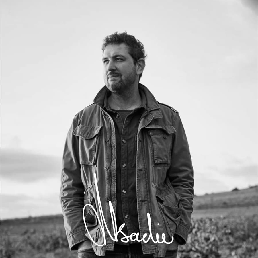 Winemaker Standing In Stellenbosch Vineyard, Showcasing South African Wine Culture For The Cwg David &Amp; Nadia Veiling Chenin Blanc 2023