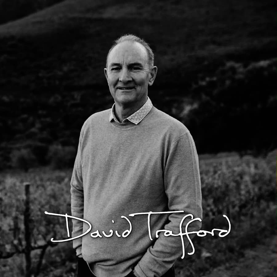 David Trafford In Vineyard, Showcasing Stellenbosch Wine Expertise.